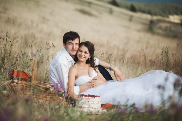 Hermosa pareja de boda en el picnic con fruta y pastel en un fondo de montañas — Foto de Stock