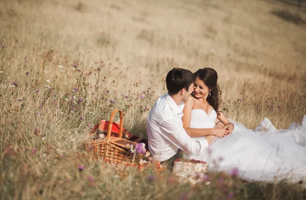 Beau couple de mariage au pique-nique avec des fruits et du gâteau sur un fond de montagnes — Photo