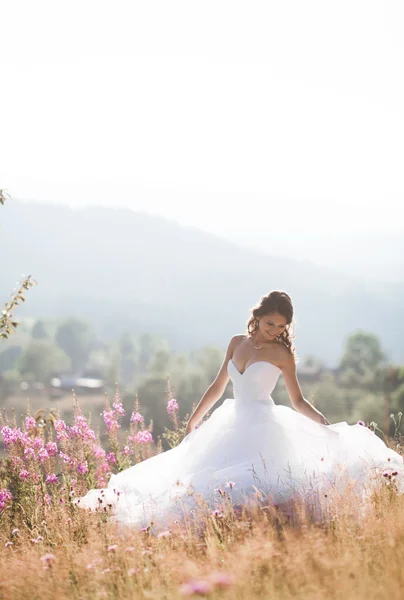 Splendida sposa in abito elegante in posa nella soleggiata giornata estiva su uno sfondo di montagne — Foto Stock