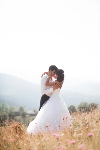 Romantica coppia di fiabe sposi in posa al tramonto su uno sfondo di montagne — Foto Stock