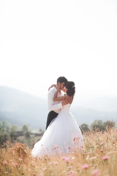 Romantik peri masalı çift yeni evliler Dağları'nın arka plan üzerinde gün batımında poz