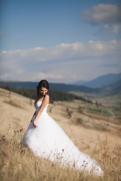 Linda noiva em vestido elegante posando no dia ensolarado de verão em um fundo de montanhas — Fotografia de Stock