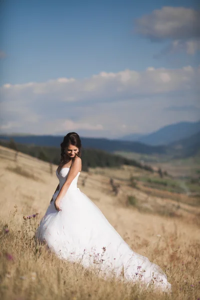 Splendida sposa in abito elegante in posa nella soleggiata giornata estiva su uno sfondo di montagne — Foto Stock