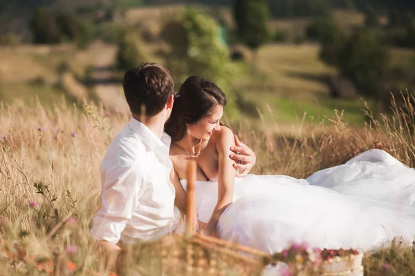 Casal bonito no piquenique com frutas e bolo em um fundo de montanhas — Fotografia de Stock