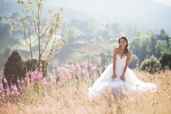 Gorgeous bride in elegant dress posing at sunny summer day on a background of mountains — Stock Photo, Image