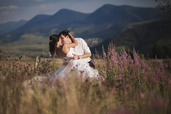 Romantic fairytale couple newlyweds kissing and embracing on a background of mountains — Stock Photo, Image