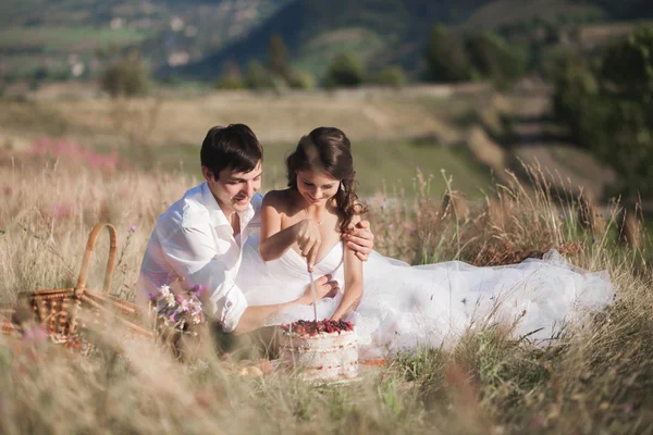 Güzel düğün çifti ile meyve ve pasta Dağları'nın bir arka plan üzerinde piknik — Stok fotoğraf