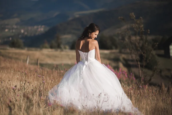 Linda noiva em vestido elegante posando no dia ensolarado de verão em um fundo de montanhas — Fotografia de Stock