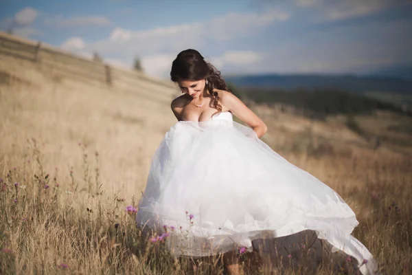 Splendida sposa in abito elegante in posa nella soleggiata giornata estiva su uno sfondo di montagne — Foto Stock