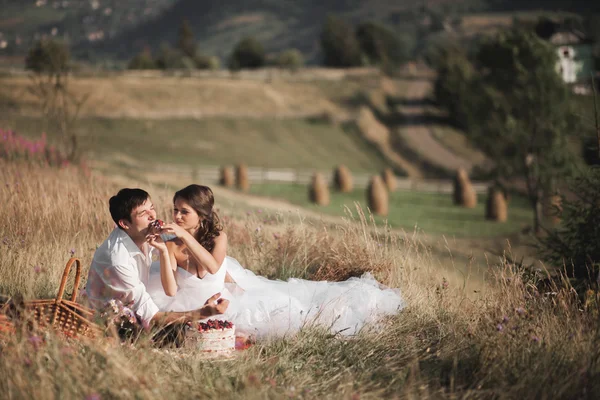 Casal bonito no piquenique com frutas e bolo em um fundo de montanhas — Fotografia de Stock