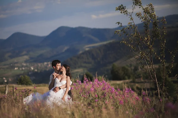 Romantica coppia di fiabe sposi che si baciano e si abbracciano su uno sfondo di montagne — Foto Stock