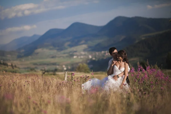 Romantic fairytale couple newlyweds kissing and embracing on a background of mountains — Stock Photo, Image