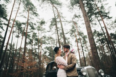 Romantik masal düğün çift öpüşme ve retro car yakınındaki çam ormanı içinde kucaklayan.