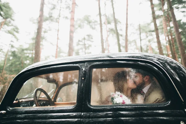 Romantisches Märchenhochzeitspaar küsst und umarmt sich im Kiefernwald in der Nähe des Retro-Autos. — Stockfoto