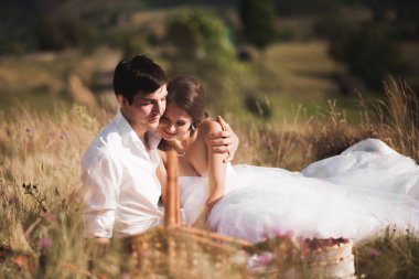 Güzel düğün çifti ile meyve ve pasta Dağları'nın bir arka plan üzerinde piknik