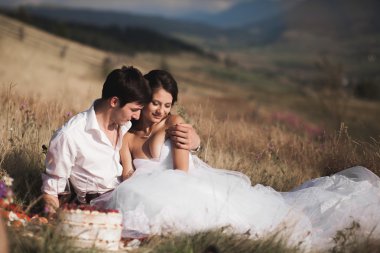 Güzel düğün çifti ile meyve ve pasta Dağları'nın bir arka plan üzerinde piknik