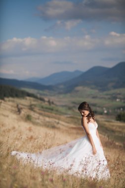 Bir arka plan Dağları'nın güneşli yaz gününde, poz şık elbiseli güzel gelin