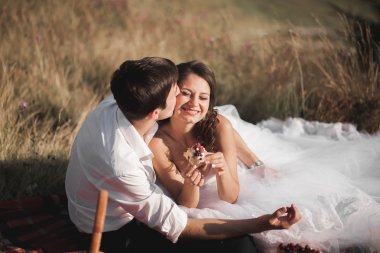 Güzel düğün çifti ile meyve ve pasta Dağları'nın bir arka plan üzerinde piknik