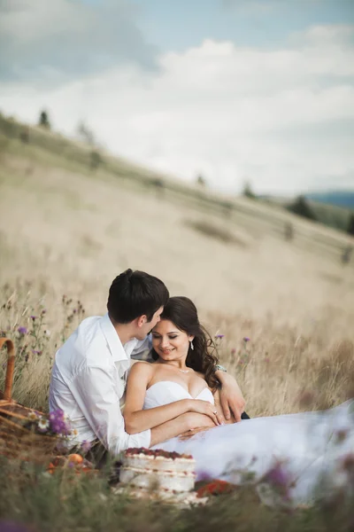 Casal bonito no piquenique com frutas e bolo em um fundo de montanhas — Fotografia de Stock