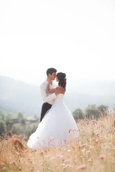 Романтическая сказочная пара молодоженов позирует на закате на фоне гор — стоковое фото