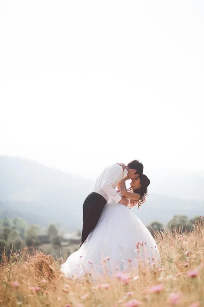 Romantica coppia di fiabe sposi in posa al tramonto su uno sfondo di montagne — Foto Stock