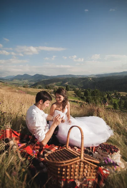 Bella coppia di nozze al picnic con frutta e torta su uno sfondo di montagne — Foto Stock