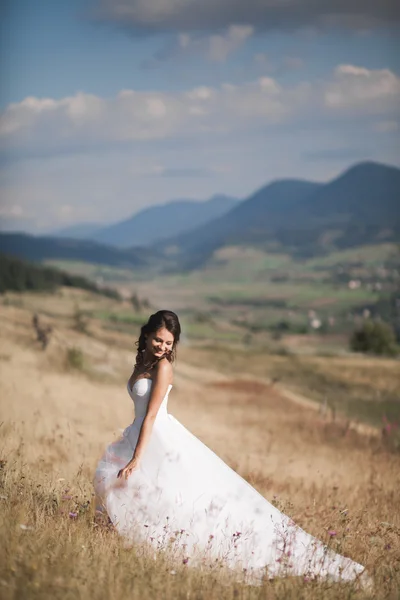 Splendida sposa in abito elegante in posa nella soleggiata giornata estiva su uno sfondo di montagne — Foto Stock