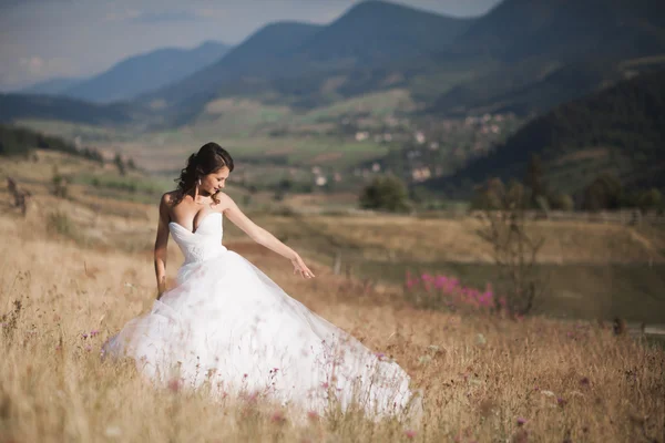 Splendida sposa in abito elegante in posa nella soleggiata giornata estiva su uno sfondo di montagne — Foto Stock