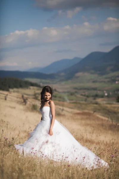 Splendida sposa in abito elegante in posa nella soleggiata giornata estiva su uno sfondo di montagne — Foto Stock