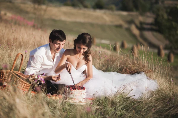 Casal bonito no piquenique com frutas e bolo em um fundo de montanhas — Fotografia de Stock