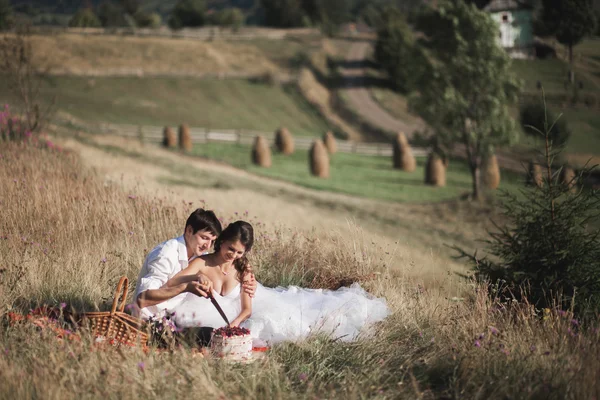 Vackra bröllopsparet på picknick med frukt och kakor på en bakgrund av berg — Stockfoto