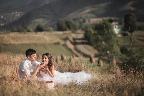Bella coppia di nozze al picnic con frutta e torta su uno sfondo di montagne — Foto Stock