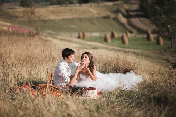 Bella coppia di nozze al picnic con frutta e torta su uno sfondo di montagne — Foto Stock