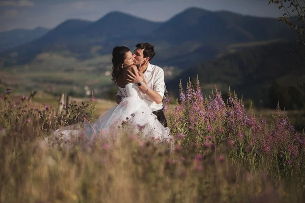 Romantic fairytale couple newlyweds kissing and embracing on a background of mountains — Stock Photo, Image