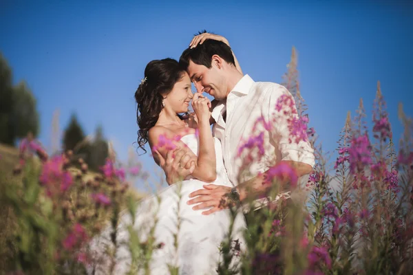 Romantisk saga par nygifta kysser och omfamna på en bakgrund av berg — Stockfoto