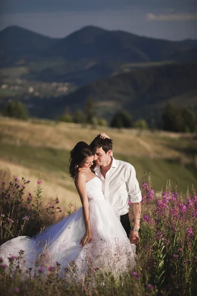 Casal de conto de fadas romântico recém-casados beijando e abraçando em um fundo de montanhas — Fotografia de Stock