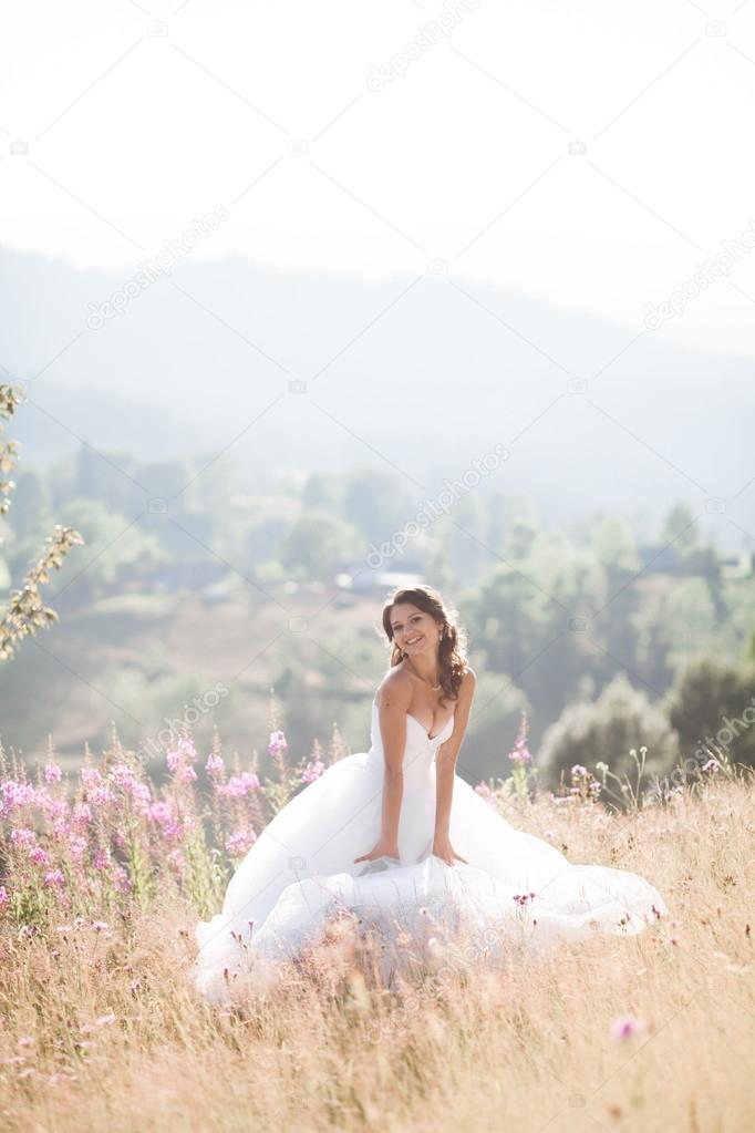 Gorgeous bride in elegant dress posing at sunny summer day on a background of mountains