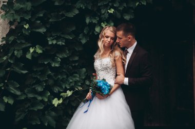 Mutlu düğün kaç sarılma ve birbirlerine arka plan güzel bitkiler kale üzerinde gülümseyen