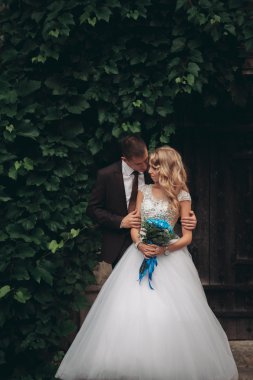 Mutlu düğün kaç sarılma ve birbirlerine arka plan güzel bitkiler kale üzerinde gülümseyen