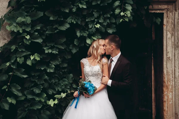 Verheugd huwelijksfeest paar knuffelen en glimlachen elkaar op de achtergrond prachtige planten in kasteel — Stockfoto