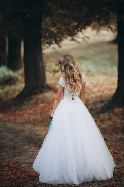 Lujoso retrato de novia rubia con ramo de novia en otoño — Foto de Stock