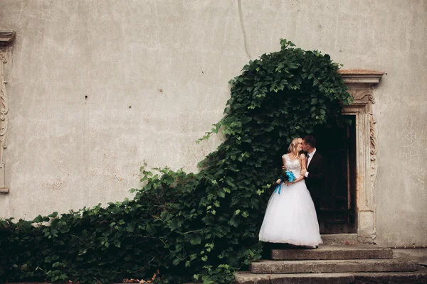 Feliz boda pareja abrazándose y sonriendo el uno al otro en el fondo hermosas plantas en el castillo —  Fotos de Stock