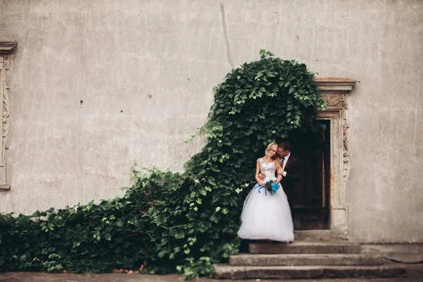 Glückliches Hochzeitspaar umarmt und lächelnd einander auf dem Hintergrund herrliche Pflanzen im Schloss — Stockfoto