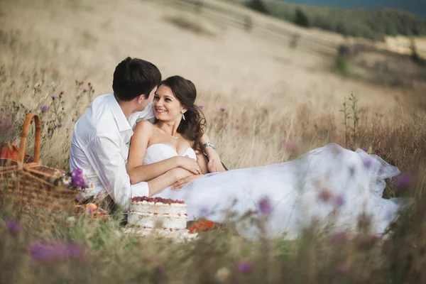 Casal bonito no piquenique com frutas e bolo em um fundo de montanhas — Fotografia de Stock