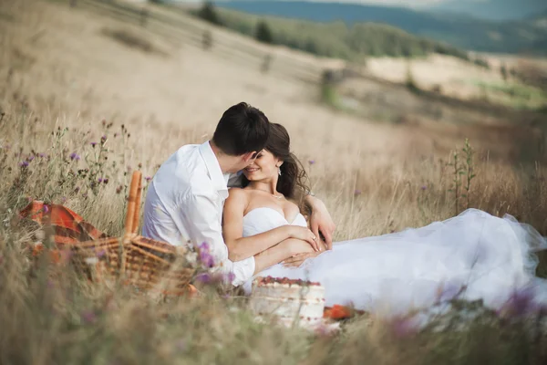 Casal bonito no piquenique com frutas e bolo em um fundo de montanhas — Fotografia de Stock