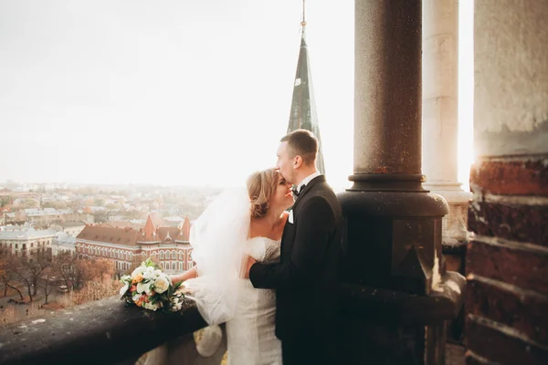 Stylish beautiful wedding couple kissing and hugging on background panoramic view of the old town — Stock Photo, Image