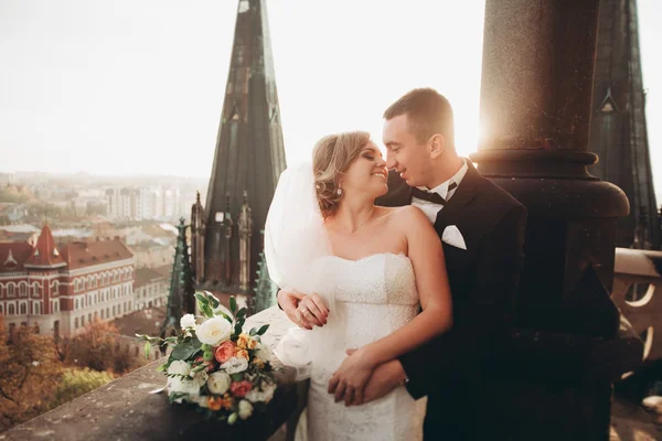 Стильная красивая свадебная пара целуется и обнимается на заднем плане панорамным видом на старый город — стоковое фото