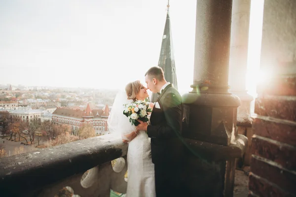 Κομψό όμορφο γάμο ζευγάρι φιλιά και αγκαλιές στο φόντο πανοραμική θέα της παλιάς πόλης — Φωτογραφία Αρχείου