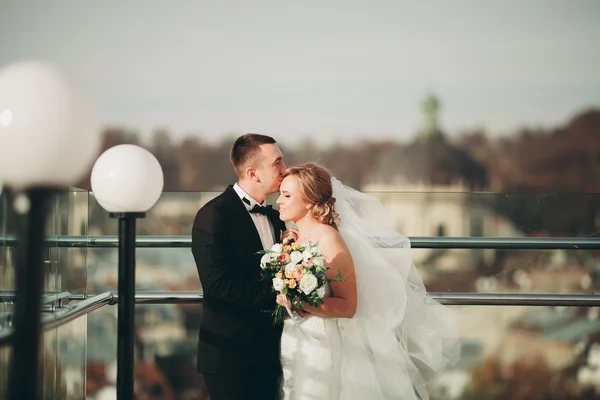 スタイリッシュな美しい結婚式のカップルキスと抱擁上の背景パノラマビューの旧市街 — ストック写真