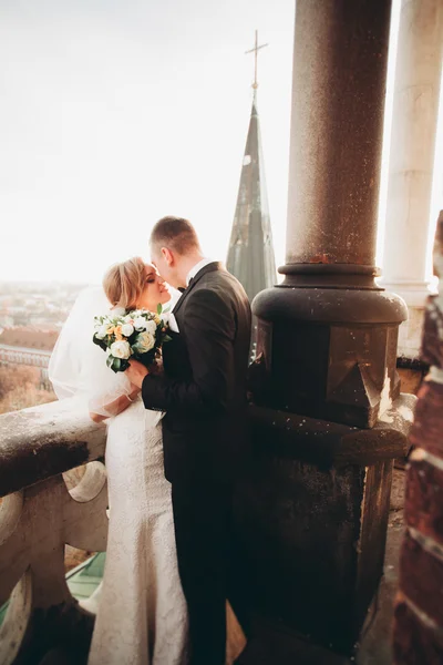 Stylish beautiful wedding couple kissing and hugging on background panoramic view of the old town — Stock Photo, Image